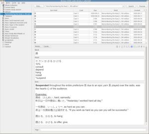 Screenshot of my Anki deck